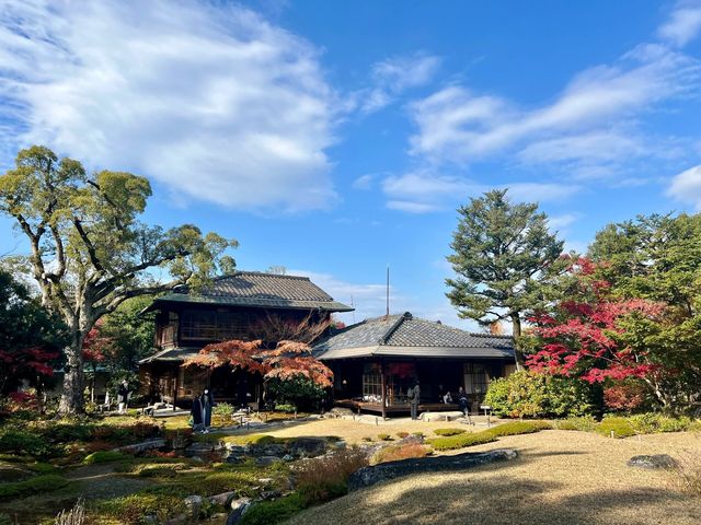 京都|花一點錢享受無人的秋日庭園