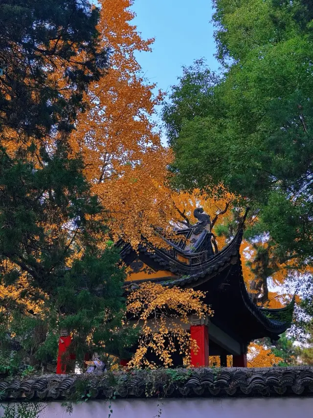 Wuxi Huishan Ancient Town | The colorful autumn scenery is captivating