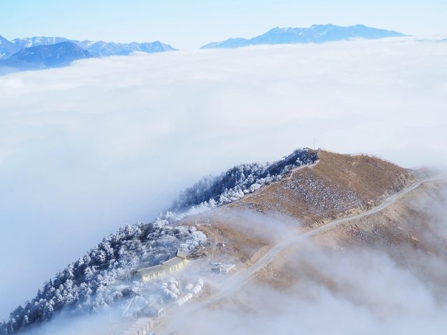 離成都超近！小眾玩雪看雲海秘境｜神木壘