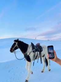 白哈巴｜這才是新疆冬日的雪景天花板吧