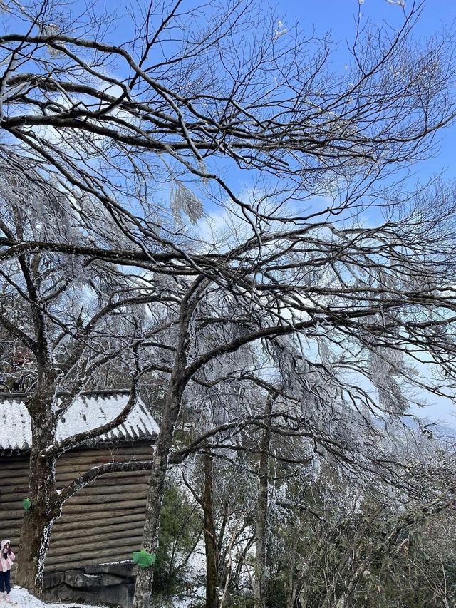 湖南郴州｜不來後悔！！深圳ZUI佳賞霧凇地