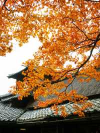京都景點｜詩仙堂丈山寺