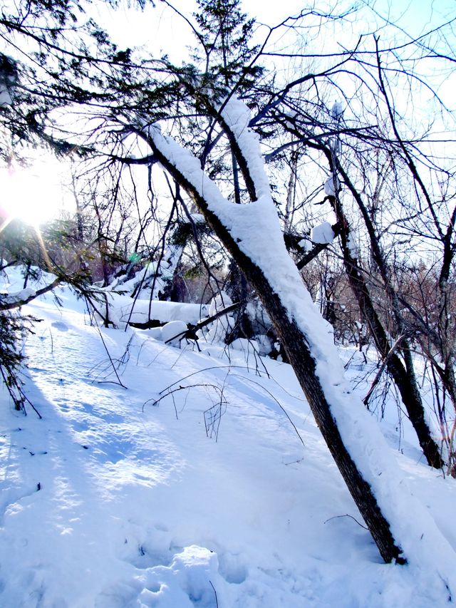 原來姊也能過雪山的