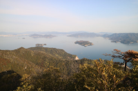 壮麗な厳島神社を鑑賞