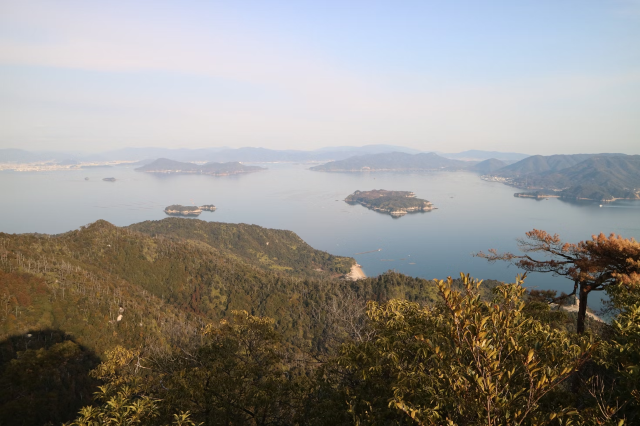 壮麗な厳島神社を鑑賞