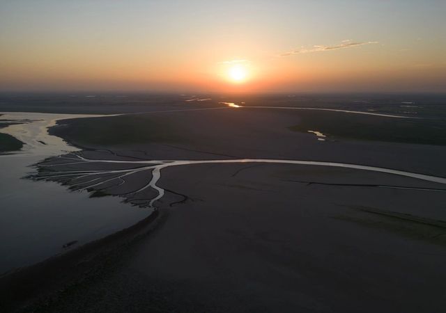 江西鄱陽湖丨生命之樹的延展