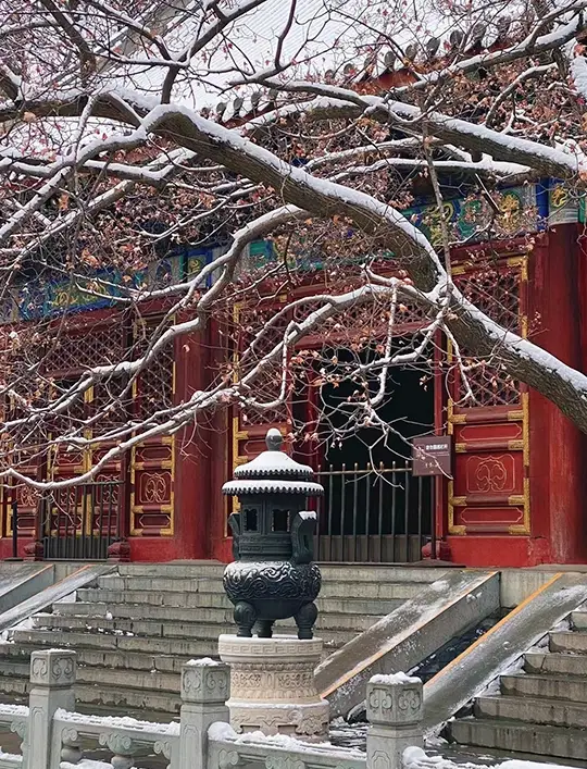 北京の雪景色｜香山の雪景色