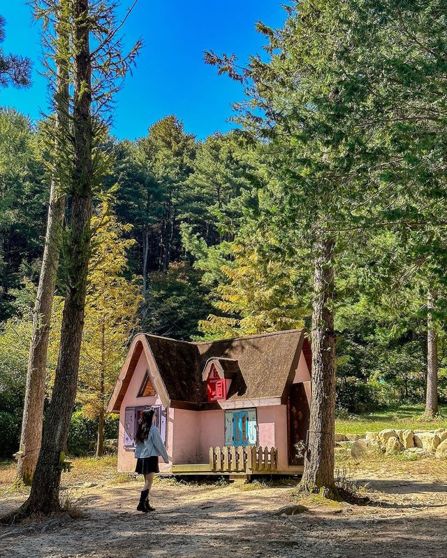 요정 살고 있는거 아냐..? 현 시각 제일 예쁜 아침고요수목원🧚🏻‍♀️♥️