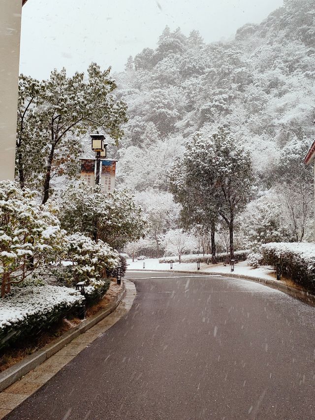 不妨下周來三清山邂逅一場雪吧