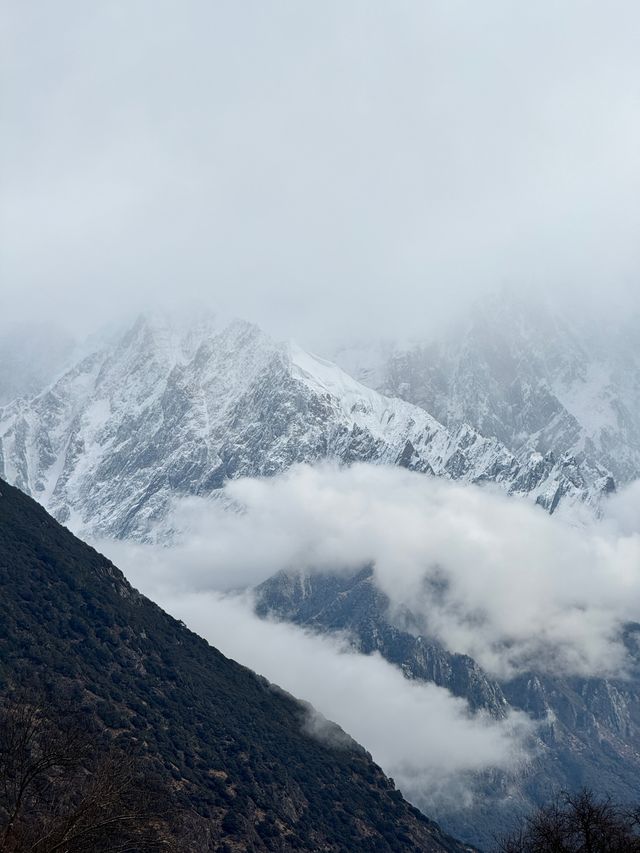 來南峰總有遺憾