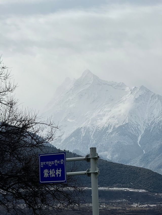 來南峰總有遺憾