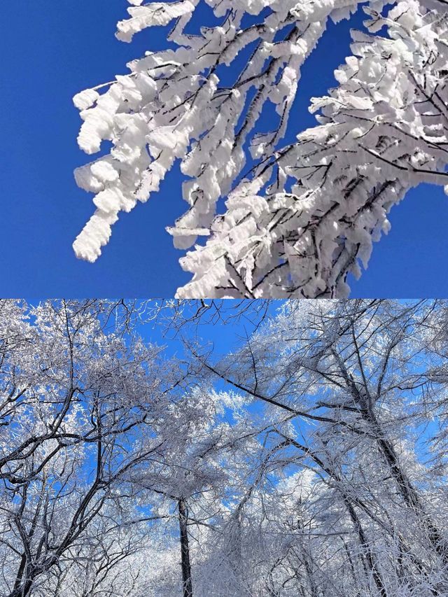 春節旅行：沂蒙老區雲蒙景區旅遊祈福