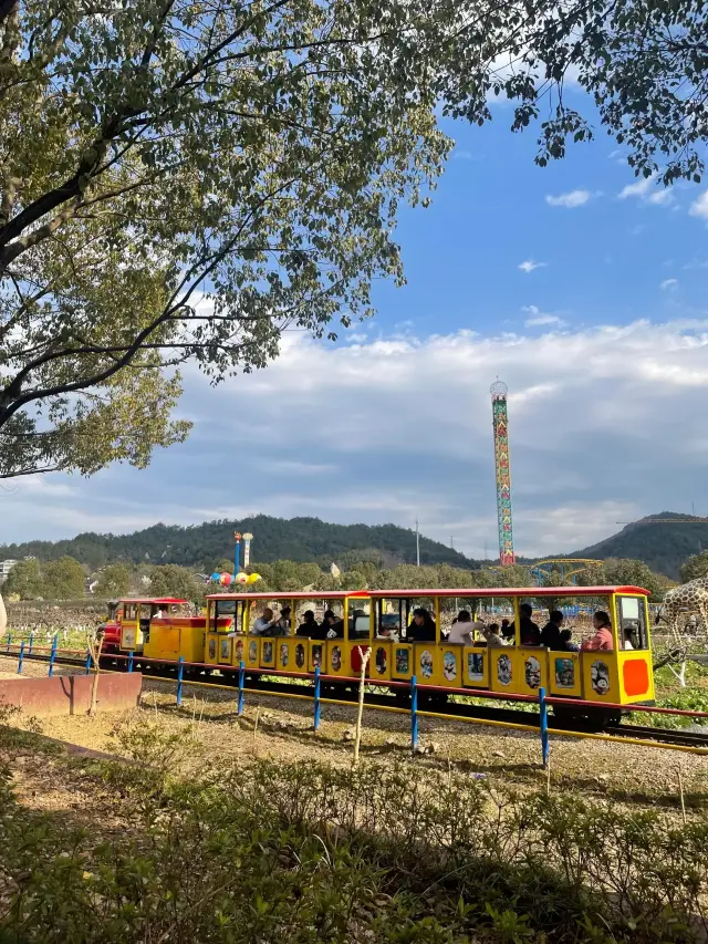 江浙滬親子項目溜娃好去處丨寶藏遊樂園附攻略