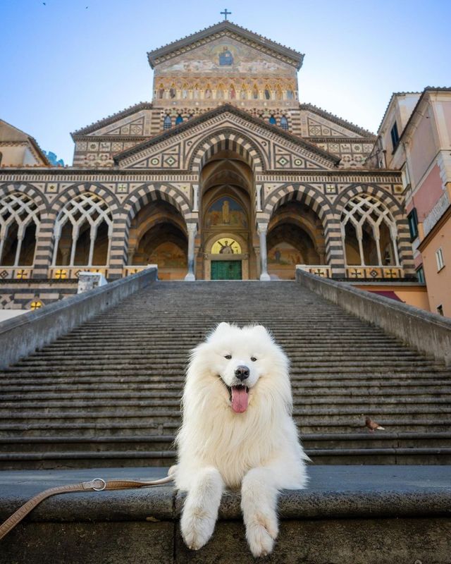 🍕 You wanna pass? Gib 5 treatos! Prepare to be awed by the majestic beauty of Amalfi Coast in Italy.