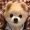 Wilson_Olivia_4