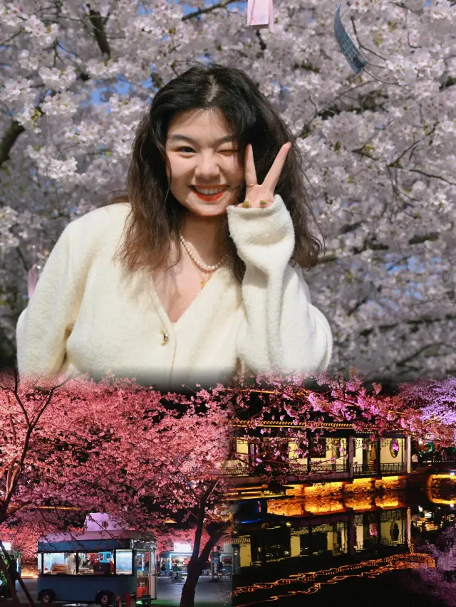 세계 삼대 벚꽃 명소 중 하나인 어두주 최강 가이드