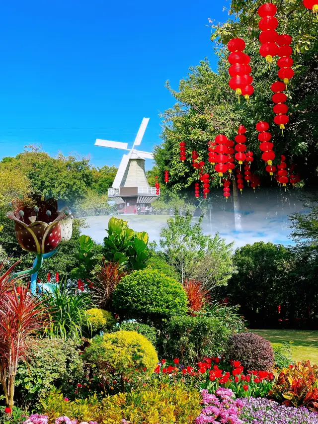 Monet Garden in Shenzhen, the flower sea in the Dutch Flower Town is super beautiful