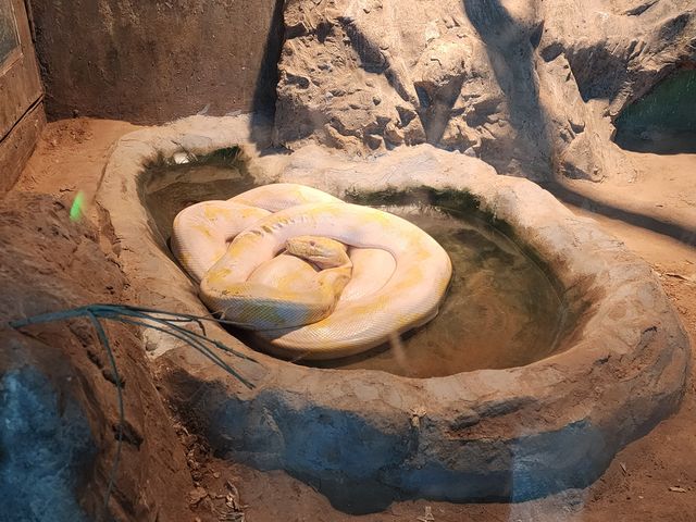 一頓午餐錢就可以逛的北京動物園