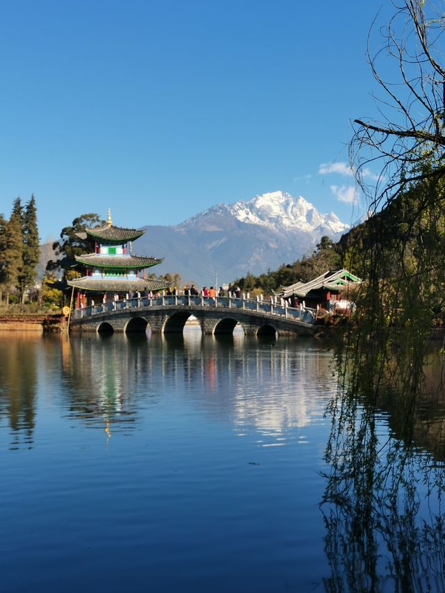 三月的麗江 木府 麗江古城 獅子山 黑龍潭