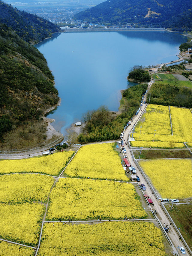 寧波文旅局你不宣傳這個地方你糊塗啊