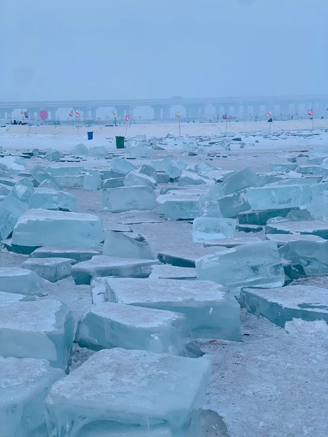 冰快化了乘著2月趕緊追一波冰雪尾巴