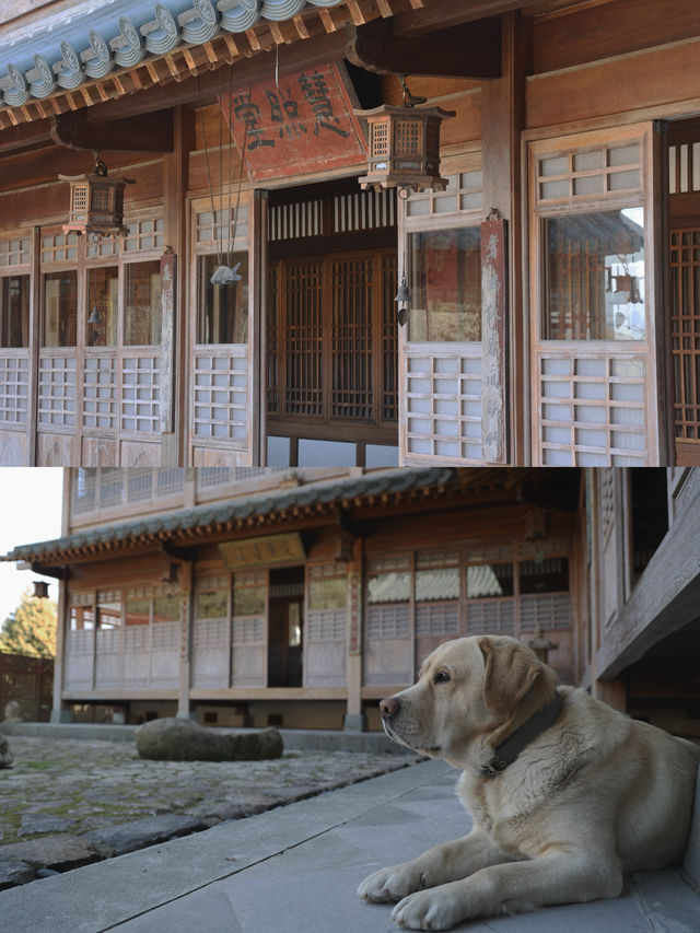 不在京都而在天台的通玄寺，禪意世外桃源美得令人淚流