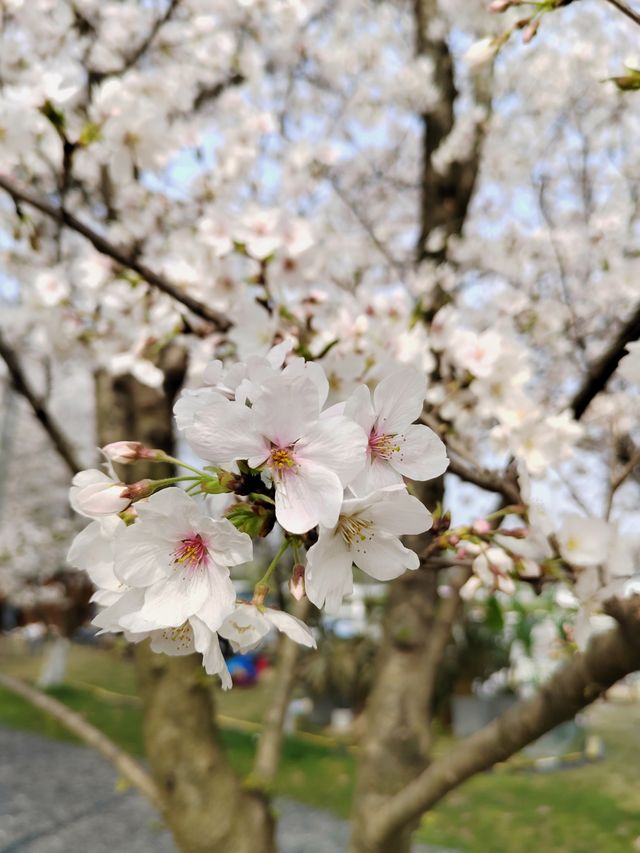 除了春天，禁止入內