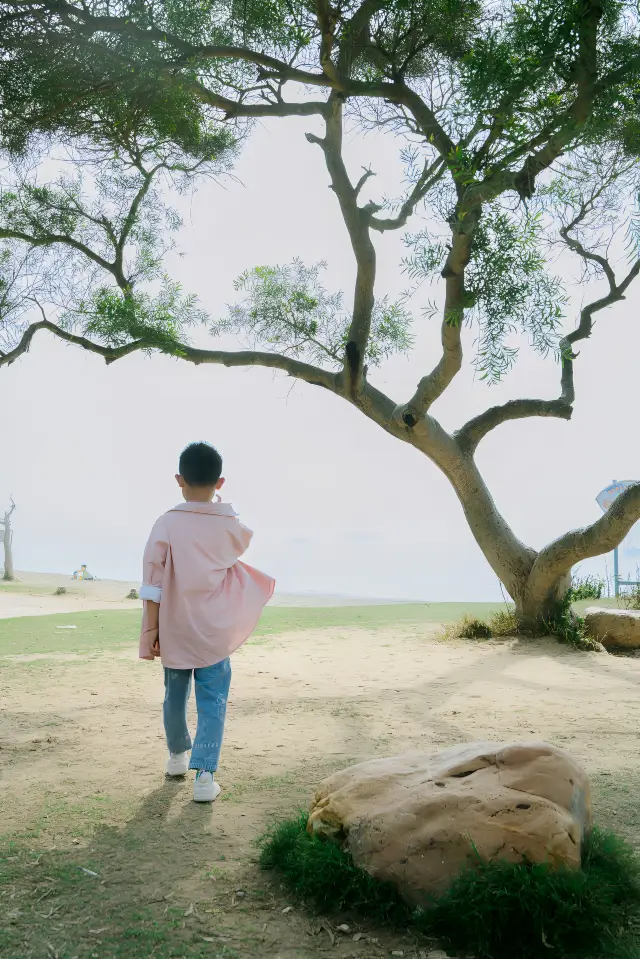 หาดเซียะเหมินหวนเต้าหลู่เล่นที่หาดเดือนครึ่งหนึ่ง