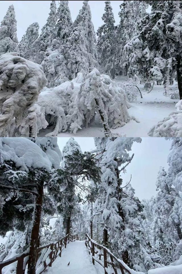 重慶武隆仙女山2024玩雪最全攻略