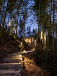 安吉周末踏青賞花體驗山野露營