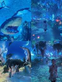 裸眼3D+互動玩樂=超級時空魔方