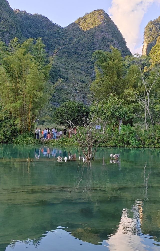 鵝泉掠影