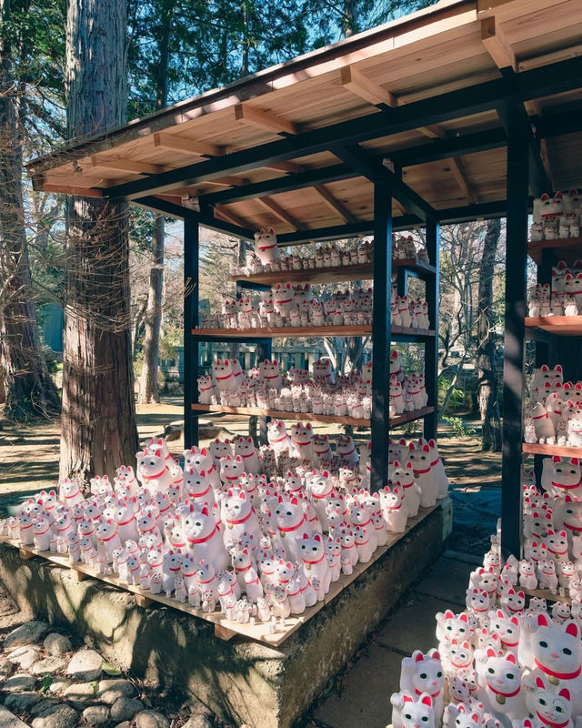 豪德寺｜東京招財貓的神社