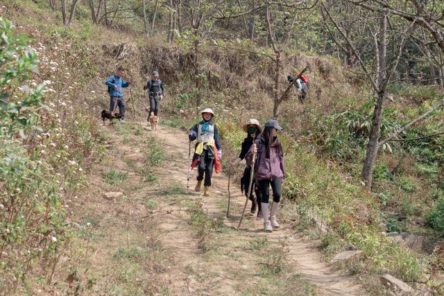 哀牢山小眾地徒步路線指南