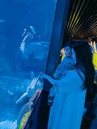 魔都首家空中海洋館趁人少趕緊來溜娃