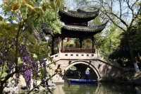 劉姥姥進了大觀園