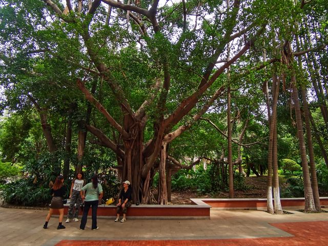 泉州芳草園，位於鯉城區新門街，佔地93畝，至今保留，擁有三百多年歷史