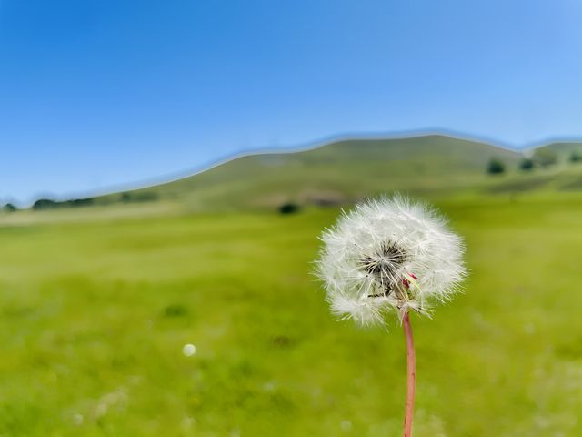 恩佐全地形穿越基地（超好玩！！）