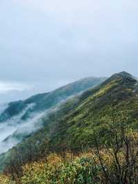 長沙出發2小時，去見山見水見自己