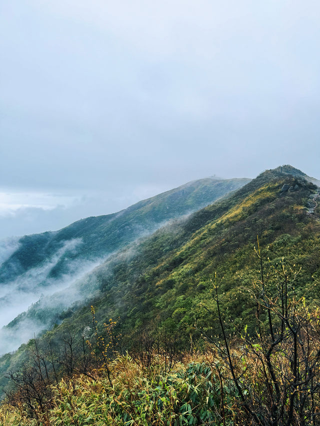 長沙出發2小時，去見山見水見自己