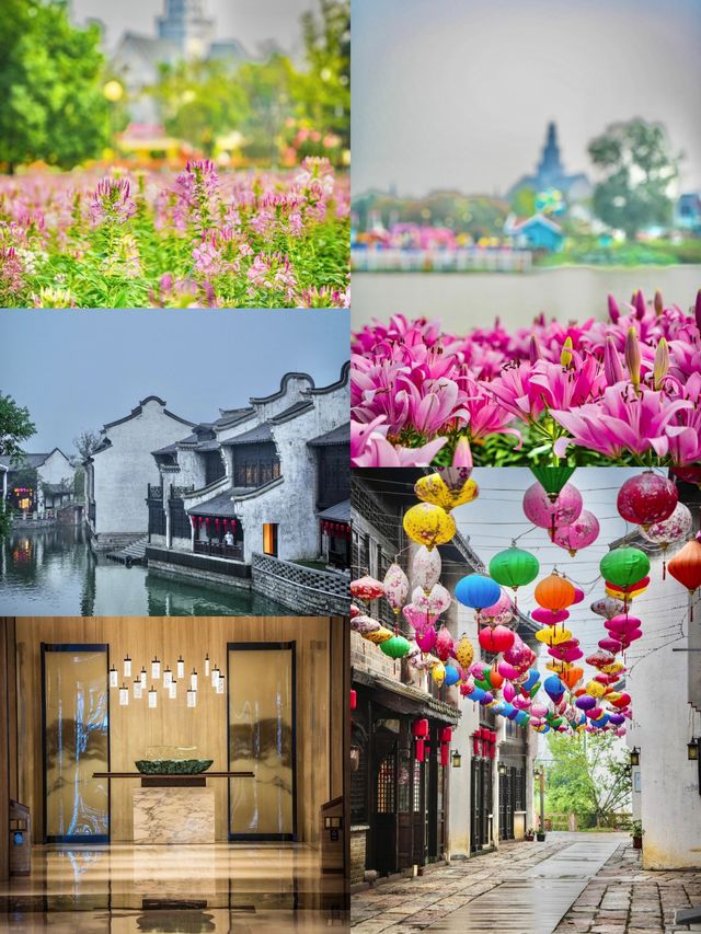 鹽城五一歡迎你們來打卡景色太美了
