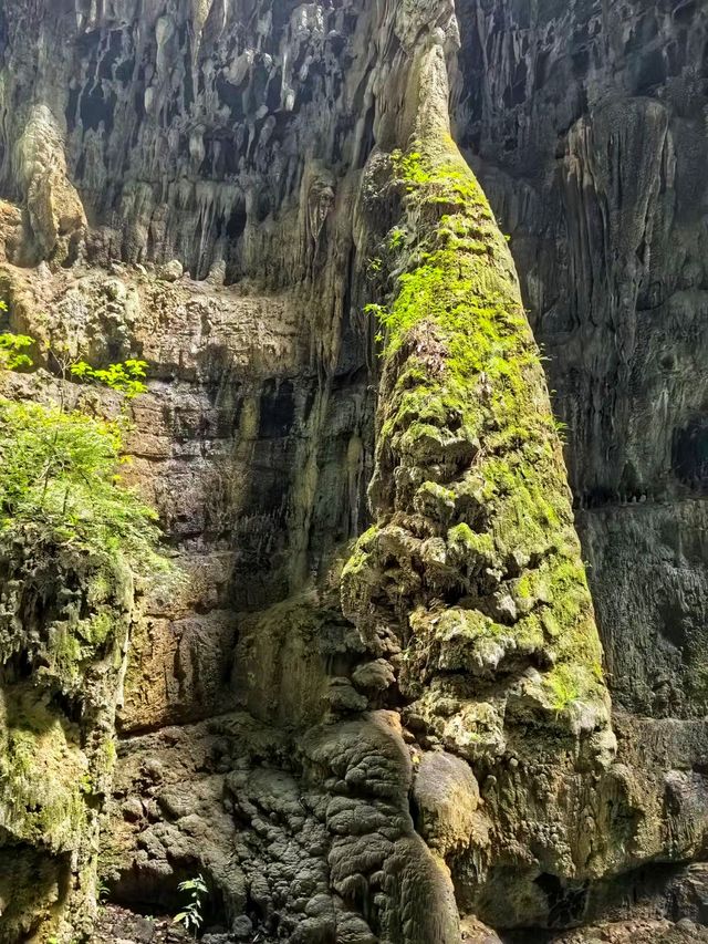 重慶｜你玩得可真花啊！探幽青龍谷+ 筏游阿依河游玩攻略