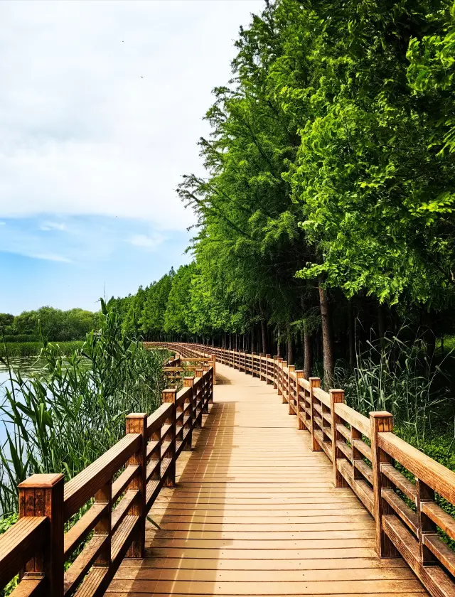 Besides Slender West Lake, this ecological park in Yangzhou is a must-visit