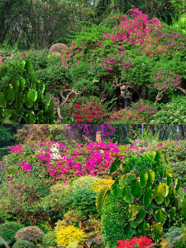 曼聽公園：昔日傣王御花園，如今打卡拍照熱門地！