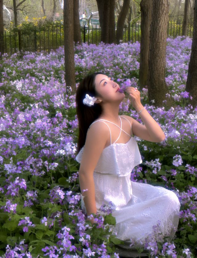 青島這個免費公園，拍二月蘭真的沒有人🪻🫧
