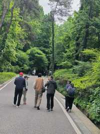 南京浦口老山森林公園