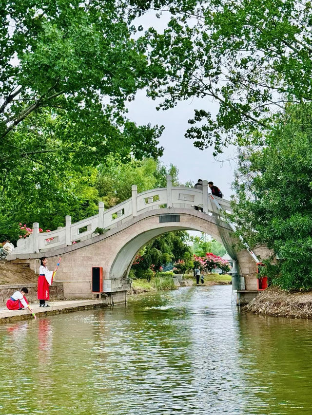 打卡白龜湖濕地公園