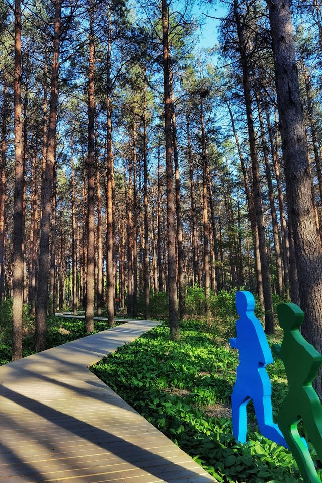 洗肺天堂，長春有個中國最大的城市森林公園
