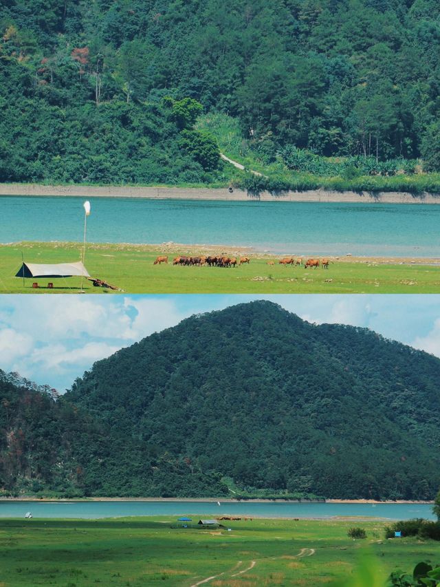 春日露營勝地:羅坑大草原的寧靜之旅 春日露營勝地:羅坑大草原的寧靜之旅
