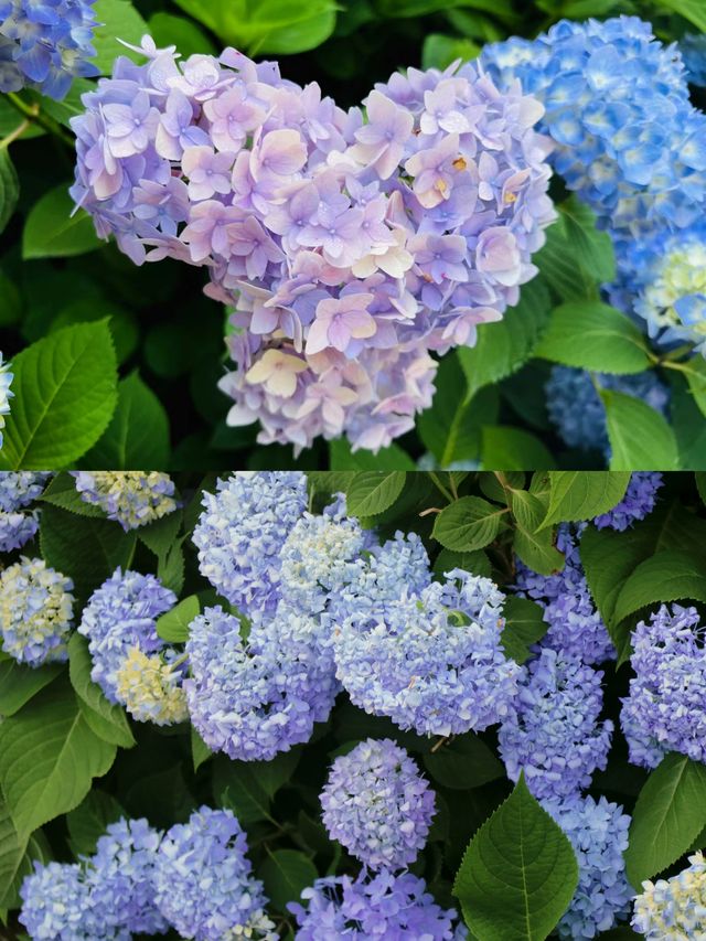 五月無盡夏